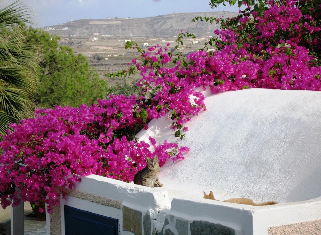 Paradise Resort Akrotiri  Exterior photo