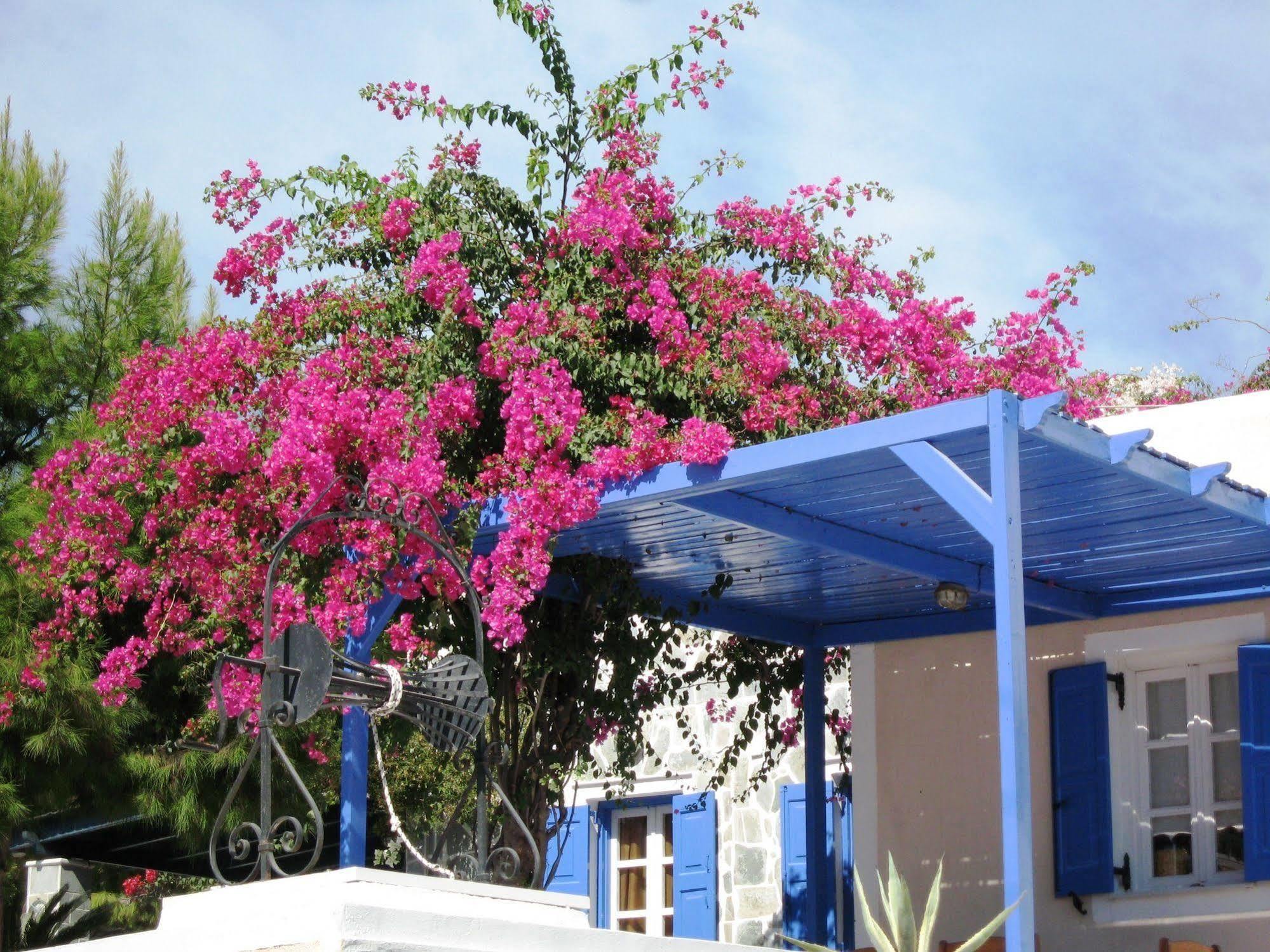 Paradise Resort Akrotiri  Exterior photo